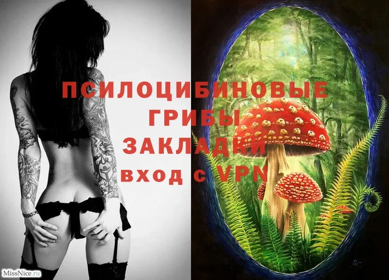 hydra зеркало  Андреаполь  Псилоцибиновые грибы Magic Shrooms 